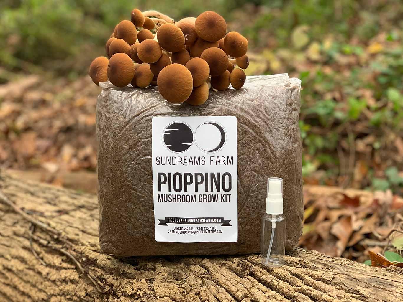 piopackedkit.jpg